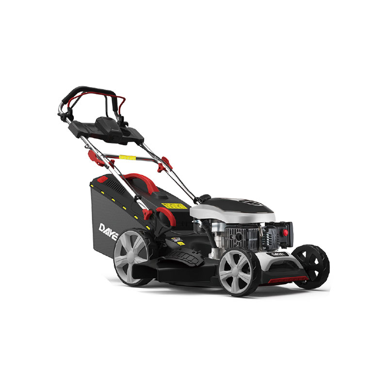 DY202-196SM-06