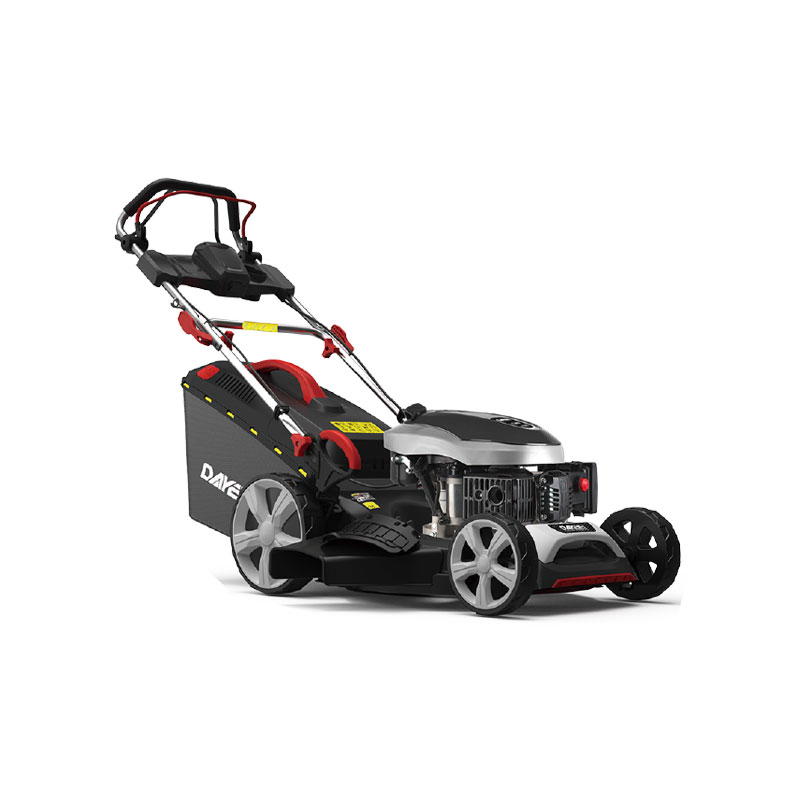 DY202-196SM-06E